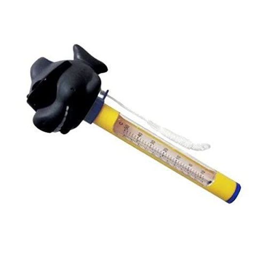 Thermomètre Analogique Pour Piscine Et Étang Lantelme | Cordon 80 Cm | -15°C à +60°C | Version Coulante