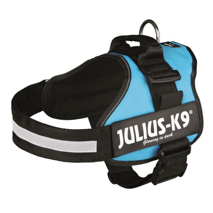 Harnais Power Julius-K9 - 1 - L : 66-85 cm-50 mm - Aigue-marine - Pour chien
