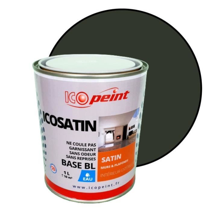 Peinture Satin Murale a l'eau Lessivable - ICOSATIN Acrylique - Vert sapin  - RAL 6009 - 1L - Achat / Vente peinture - vernis ICOSATIN RAL 6009 - 1L -  Cdiscount