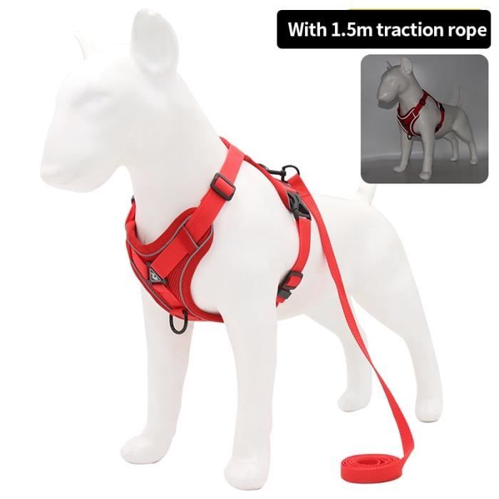 S - rouge - Harnais style gilet pour petit chien, accessoire pour chiot,  accessoire de marche pour chien et c