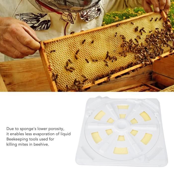 VGEBY Outils D'Apicultur12Pcs Porte De Nid De Ruche En Plastique Outil