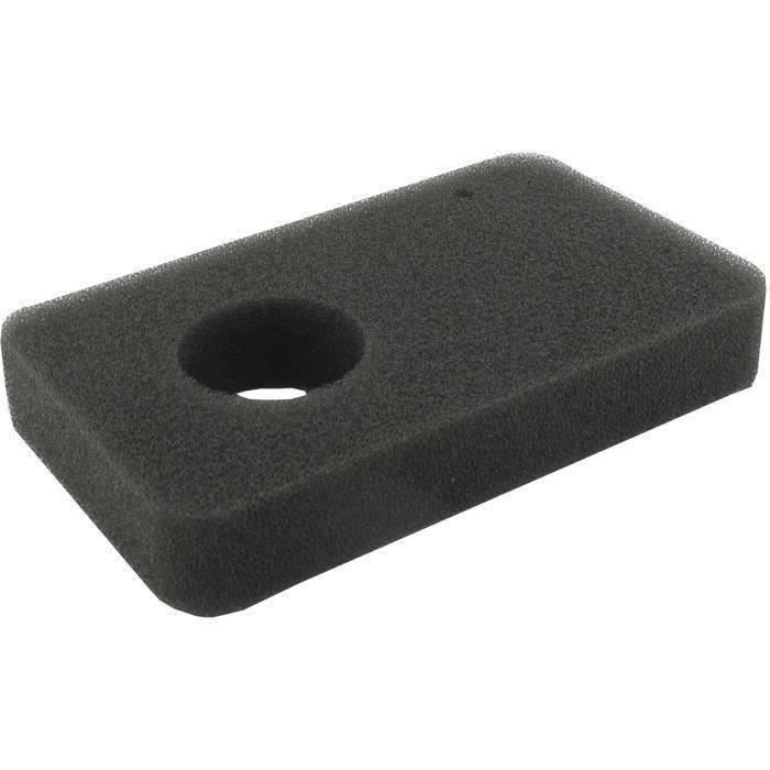 Filtre à air adaptable pour ATCO modèles BALMORAL 14S, 14SE, 17S, 17SE, 20S, 20SE