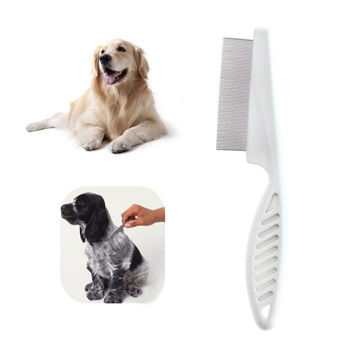 Peigne Pour Animaux De Compagnie Poils De Chien Puces Inoxydable Broche Chat Toilettage Brosse Pour La Tete Achat Vente Peigne Demeloir Peigne Pour Animaux De Cdiscount