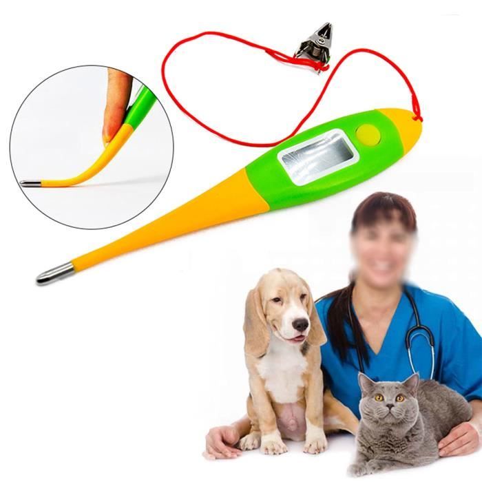 Animaux De Compagnie Thermometre Electronique Pour Chien Thermometre Numerique Fournitures Veterinaires Cdiscount