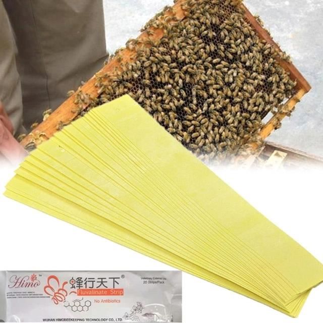 Bocal Test Acariens Varroa - Outil Apiculture Flacon Anti-Fuite Pour Compter Varroa