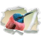 Petit Oiseau Tropical Papier 3d Sticker Mural Taille 62x45 Cm