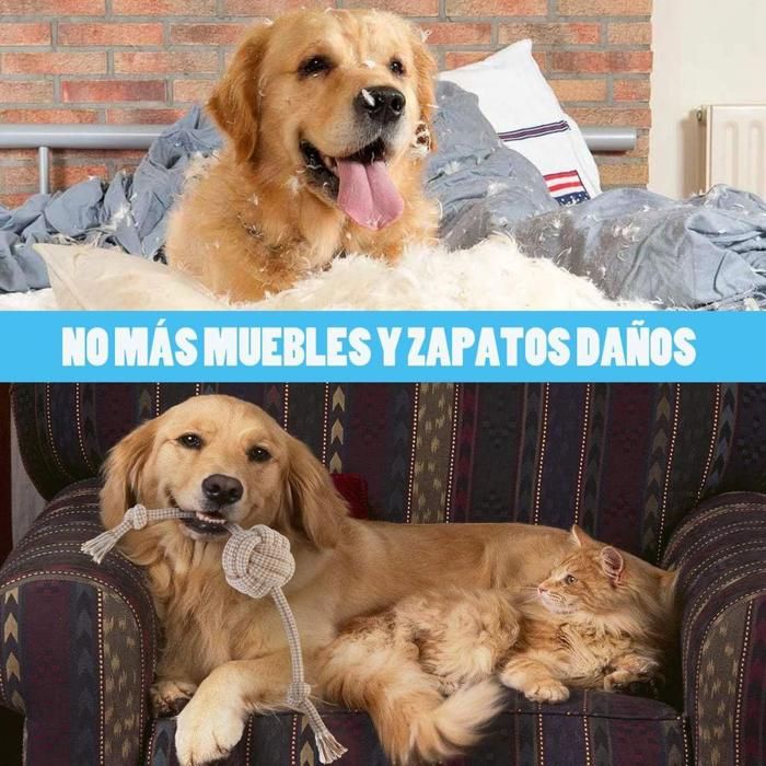 Jouets en corde de coton naturel pour chiens, interactifs, résistants ...