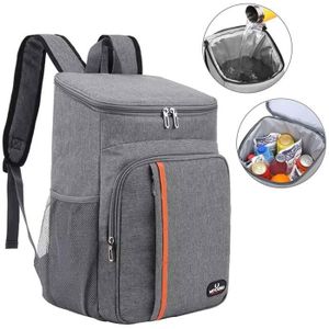 Sac à dos isotherme NORAUTO 15L gris - Norauto