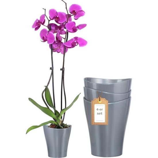Pot à Orchidées Transparent Avec Trous Et Soucoupe - Matière ABS Respirante - Pour Phalaenopsis, Cactus, Plantes D'intérieur