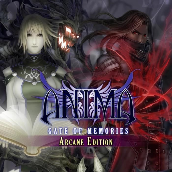 Anima : Gate Of Memories Arcane Edition Switch - vue 2
