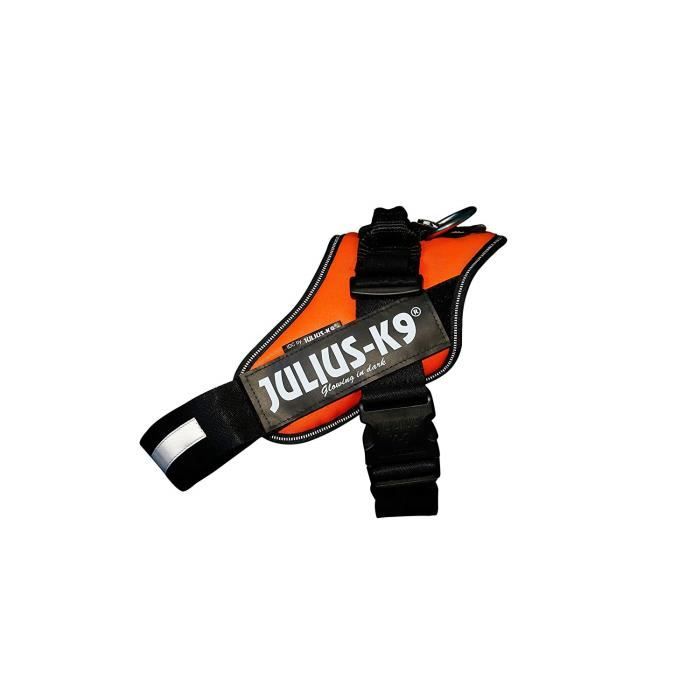 Julius-K9 IDC-Power Lumino Harnais pour Chien Orange Fluo Taille 1