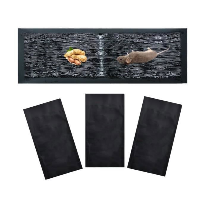 Les meilleurs pièges pour tuer ou capturer les rats | Solution Nuisible Les meilleurs pièges pour tuer ou capturer les rats | Solution Nuisible