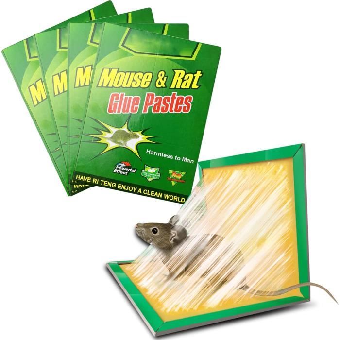 Piège à Souris à Rats, Colle très Collante, Pack de 5 Pièges à Souris,  Attrape Moustiques Cafards