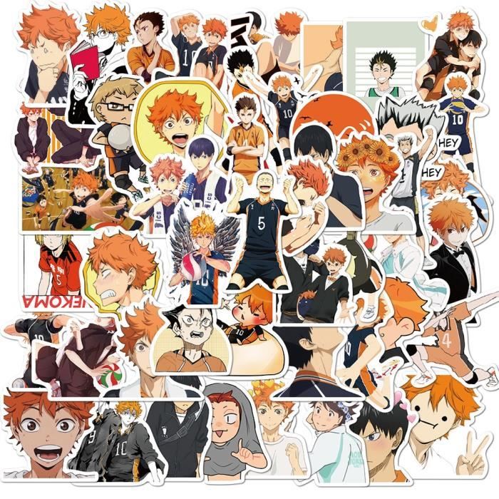 pour Ordinateur Portable Vélo Bagages Planche À roulettes Manga Haikyuu Autocollant 204 pièces Haikyuu Anime Dessin animé Autocollants,Autocollant de Volley-Ball 