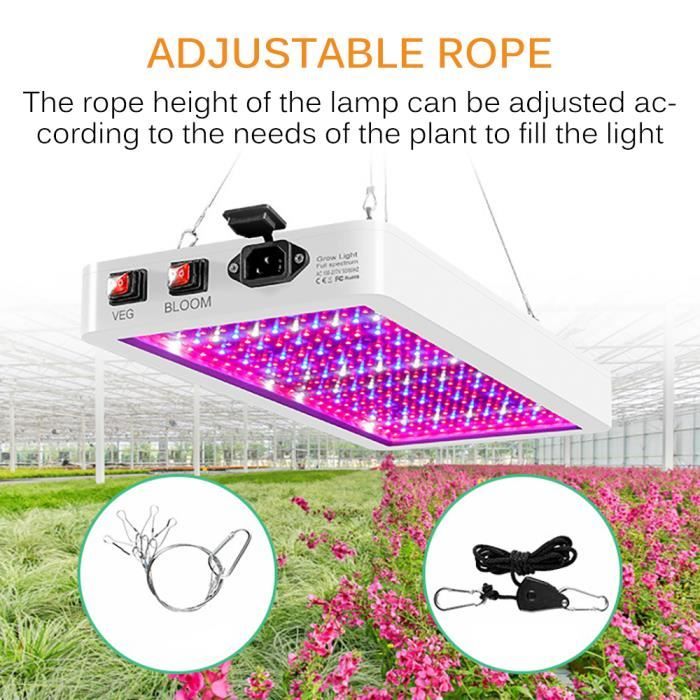 Lampe LED De Croissance Plantes 169 LEDs - Spectre Rouge Bleu 12W, Idéale Serres Et Intérieur