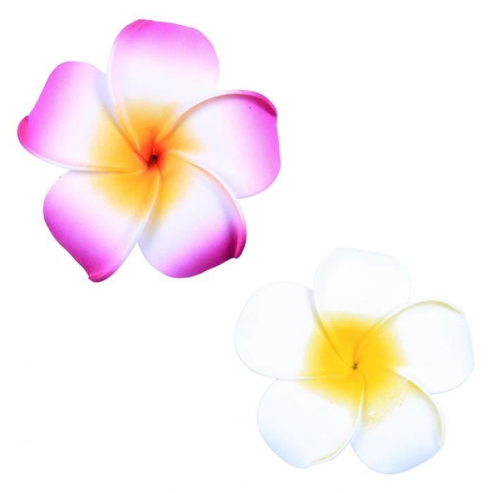 6pcs Plumeria Fleur Pince à Cheveux Femmes Fille Mariée Barrette Mariage Fête Plage 6pcs Plumeria Fleur Pince à Cheveux Femmes Fille Mariée Barrette Mariage Fête Plage