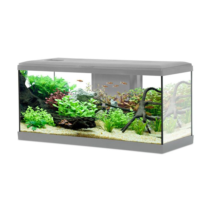 Meilleurs prix pour Kit Aquarium Tana 84l