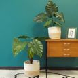 2 Cache-Pots pour Plantes D.20/25cm - Décoration Intérieur Maison - Pot Fleur / Panier de Rangement Coton Fibre Naturelle - ASENSIA-1