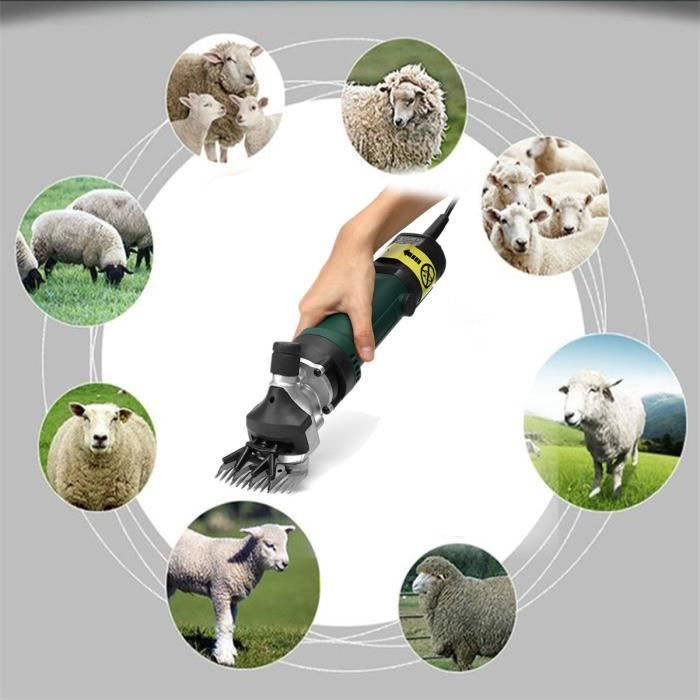 Tondeuses à Moutons Professionnelles, Cisailles à Moutons électriques