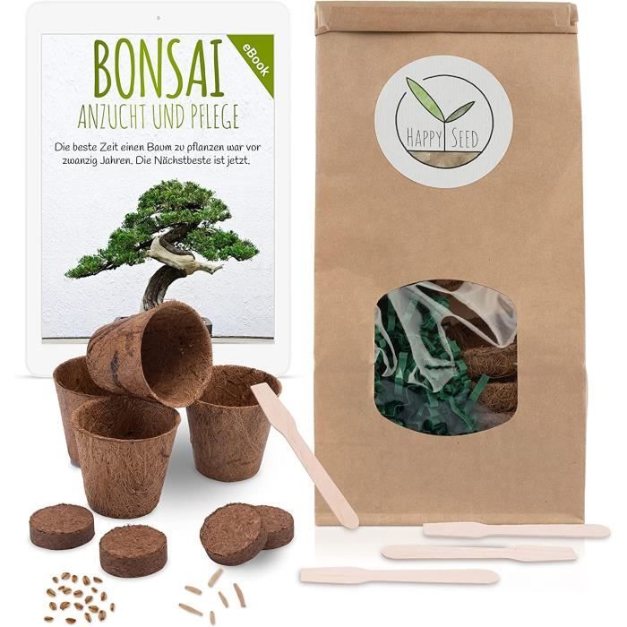 Bonsai Starter Kit - Bonzai set avec pots de noix de coco, graines et terre  - idée de cadeau durable pour les amoureux des plantes (Glycine + Pin