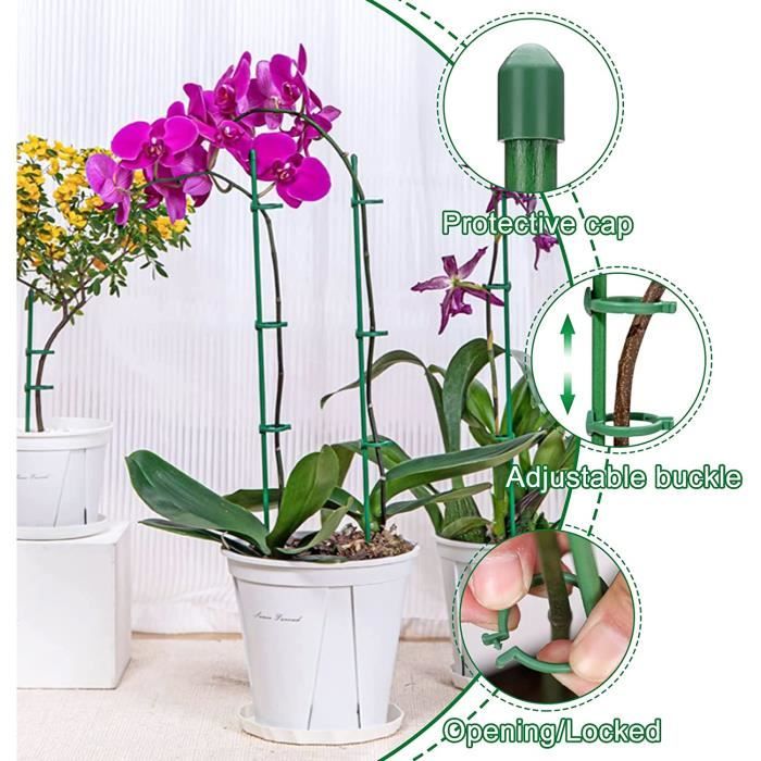Tuteur Plante Grimpantes Support Orchidées - 27 cm, avec Anneau Support,  Aidez Vos Fleurs à Pousser, pour Jardin, Tomates, Monstera, Pivoines,  Poivrons, lys, Rose etc. Bâtons Vert（5 PCS）,ladacèe