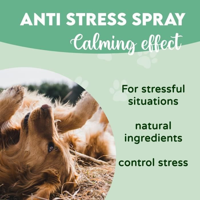 Décontractants Pour Chiens - Disane Spray Anti-stress Naturel Chats |125ml|  Effet Calmant Chiens | Décontractant Soulage L