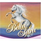 BRAND BELLA SARA BOITE DE 36 BOOSTERS NEUVE SOUS BLISTER.