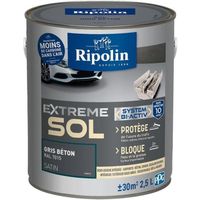 RIPOLIN PROTECTION EXTREME SOL GRIS BETON RAL 70 SATIN 2,5 L