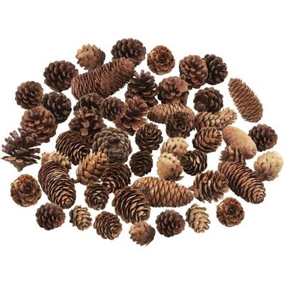 Pommes de pin de Noël en vrac - Pommes de pin naturelles pour sapin de Noël, décoration de fête pour l'automne et l'hiver, décorations de Noël (4 à 5 cm, 20 pièces Pommes de pin de Noël en vrac - Pommes de pin naturelles pour sapin de Noël, décoration de fête pour l'automne et l'hiver, décorations de Noël (4 à 5 cm, 20 pièces