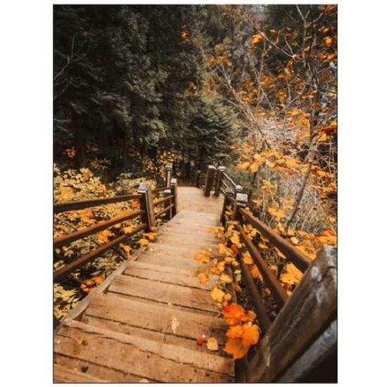Poster Sur Toile Paysage D'automne Forêt Arbre Feuilles Colorées Route Paysage D'automne Décoration D'intérieur P-3 30 X 45 Cm Style Cadre