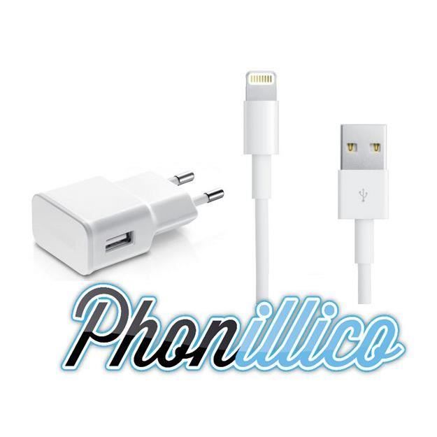 Chargeur secteur cable usb compatible iPad Mini 1