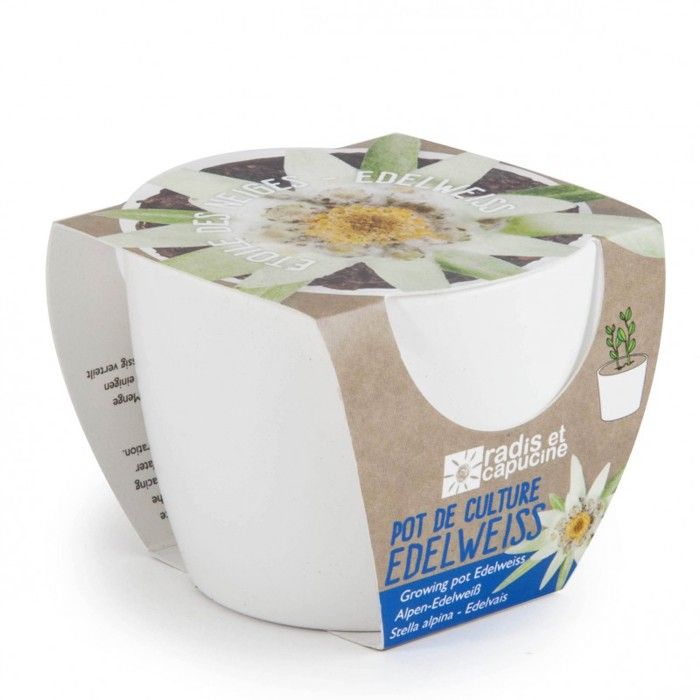 Pot céramique blanc 8 cm Edelweiss 0,000000 Fleur