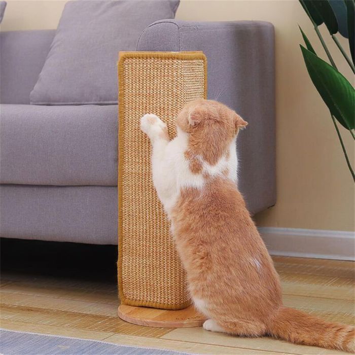 Tapis à gratter pour Chat aiguiseur de Griffes dangle Mural pour Chat Planche à gratter pour Chatons Planche à gratter p