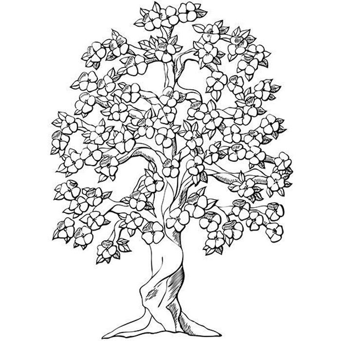 Sticker Arbre Cerisier En Fleur 60x43 Cm Noir Arb011 Cdiscount Maison Sticker Arbre Cerisier En Fleur 60x43 Cm Noir Arb011 Cdiscount Maison