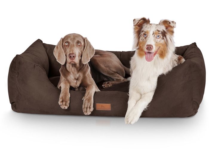 Comparer les prix de Knuffelwuff Dreamline,Panier, Lit , Coussin, Corbeille pour chien, marron XL 105 x 75cm