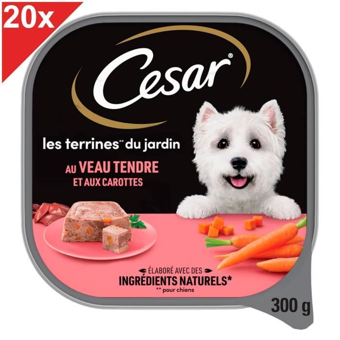 Comparer les prix de CESAR Barquettes pâtées en terrine au veau tendre et aux carottes pour chien 20x300g