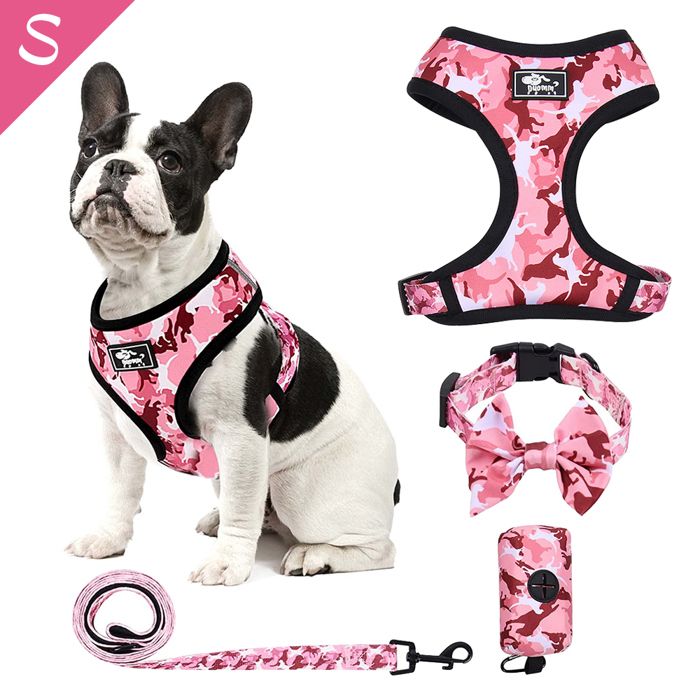 JANZDIYS Harnais Chien,S,Stepin Harnais pour Chiens avec Laisse,Harnais pour Petite Chiens