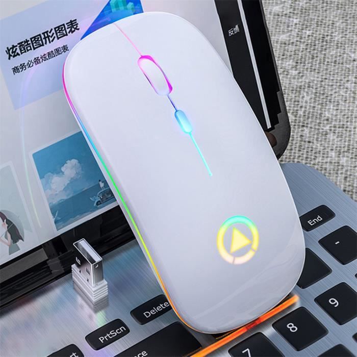 Mini souris sans fil Souris optique 1000 DPI pour ordinateur portable -  Cdiscount Informatique