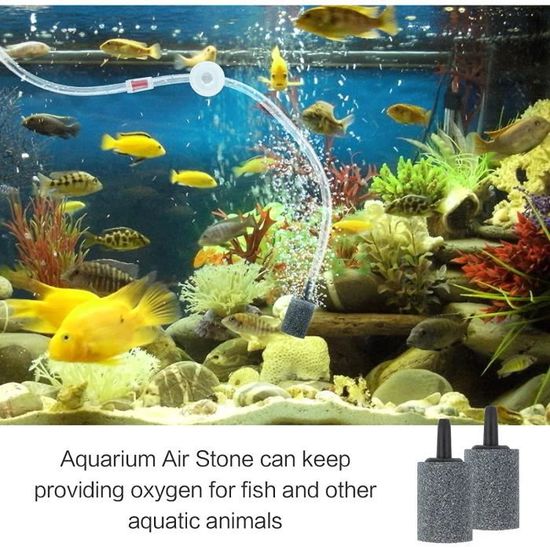 Tuyau de pompe à oxygène en silicone pour aquarium, pierre à bulles d'air,  tube de pompe de bassin précieux pour poissons, matériau de qualité  alimentaire, 4x6mm, 1m, 3m, 5m, 10m