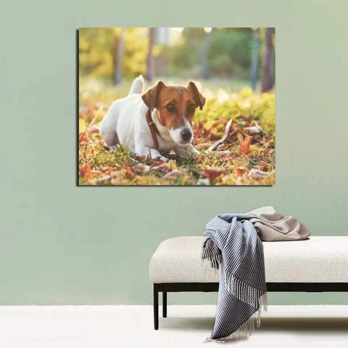 Fraises Dentaires Rondes En Carbure - Pour Pièce à Main Haute/vitesse Lente, FG/RA/HP, Conforme FDA K181691