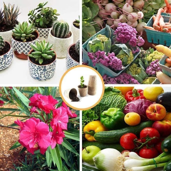 50 Pots De Culture Biodégradables 8cm - Avec Étiquettes Et Autocollants - Pour Semis Et Boutures - Jardin Et Balcon