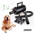 Sechoir pour chien
