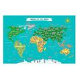 Mappemonde Planisphère des animaux carte du monde à gratter-0