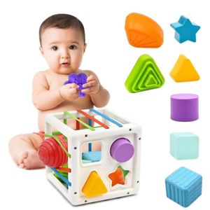 BOÎTE À FORME - GIGOGNE Jouet Montessori Cube Forme - Sensoriel - Trieur d