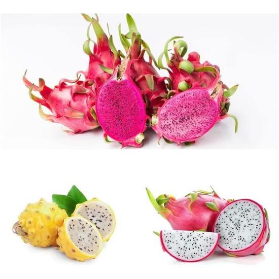 Graines De Fleur De La Passion (Passiflora) - Ceylan - Qualité Supérieure - Lot De 40 Graines