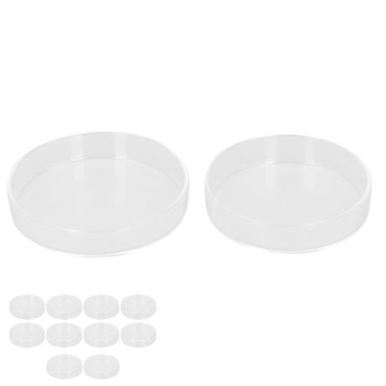 BUGUUYO Boîtes De Petri En Verre Pour Expériences En Laboratoire Boîtes De Petri Plaques Scientifiques