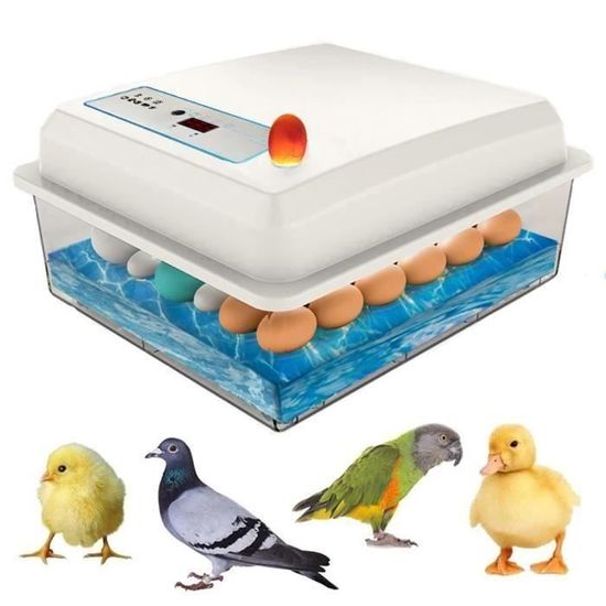 Incubateur œufs Automatique 16 Places | Retournement Auto | Humidification Auto | Détecteur Lumière | Poule/canard/caille