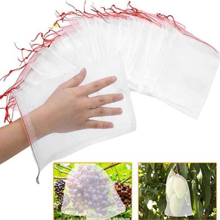 FILET DE PROTECTION ANTI-OISEAUX 50 pcs Sac de Protection Fruits ...