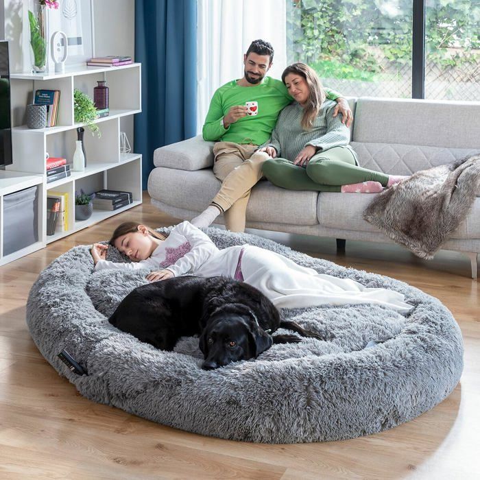 Lit pour Chien et Humain CELLUSTOP Ergonomique XXL Extra Doux — free download