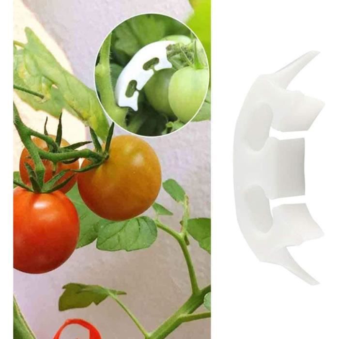 Clips Support Plantes RCYHCY - Lot De 200 - Pour Tomates, Légumes, Vignes - Fixation Sécurisée Jardin